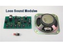 Sound Modules